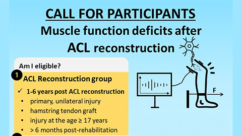 ACL survey